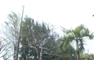 北谷公園野球場