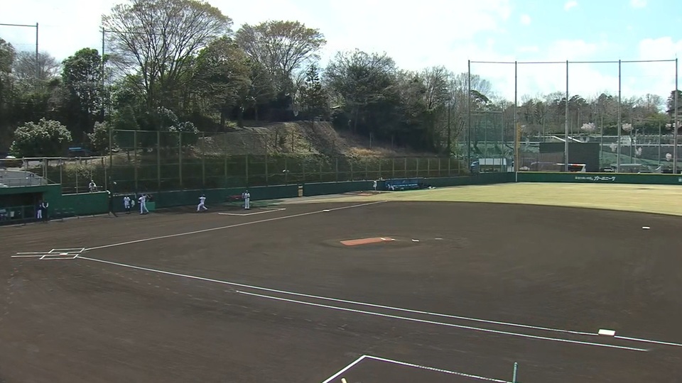 CAR3219フィールド（カーミニークフィールド）