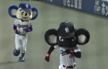 ブラックドアラ